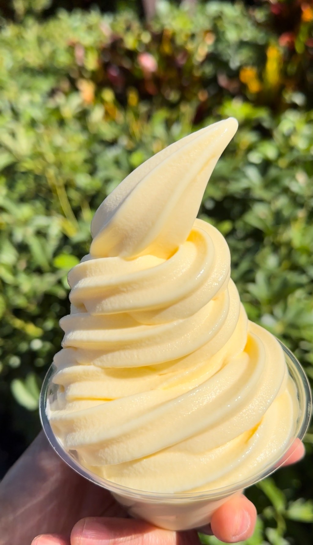 Where to find Dole Whip at Disney&nbsp;World